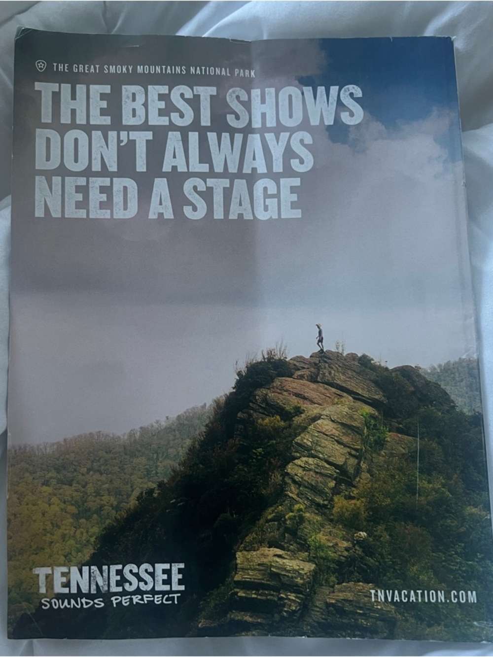 Travel + Leisure WILD Magazine - Lion Photo April 2026 - Picture 3 of 10